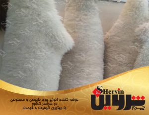چرم گوسفندی مرینوس