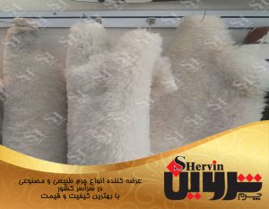 پوست مرینوس